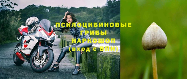 прущий лед Переславль-Залесский