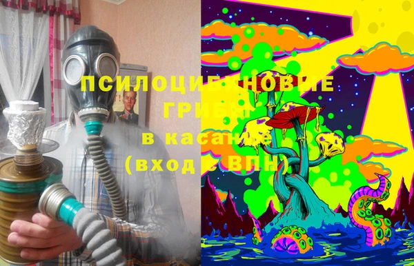 прущие крисы Пересвет