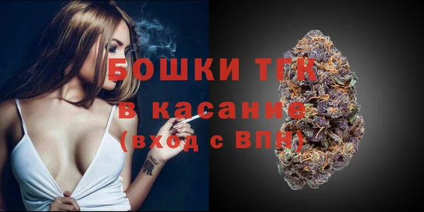 прущие крисы Пересвет