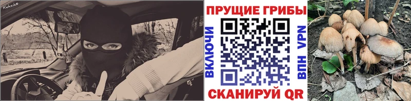 Галлюциногенные грибы мицелий  кракен tor  Балахна  где найти  