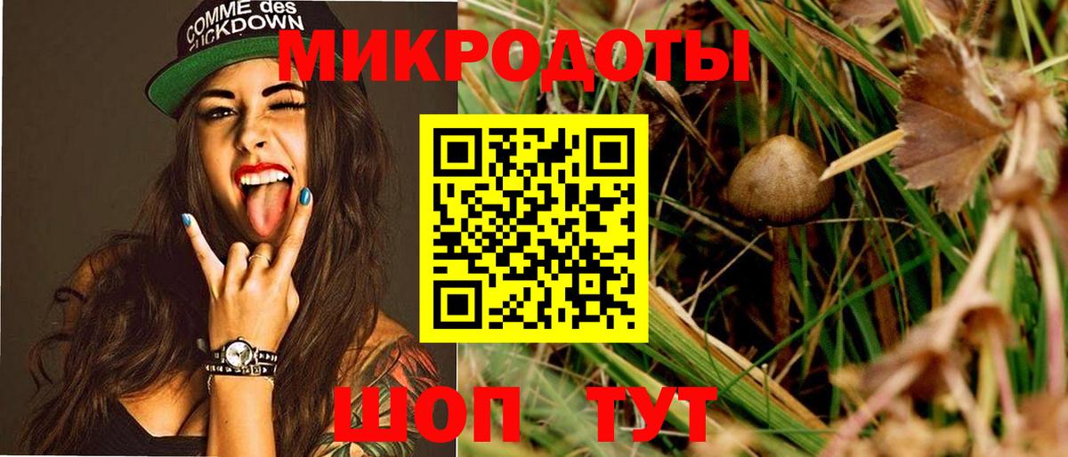 Балахна  Псилоцибиновые грибы мицелий  Псилоцибиновые грибы ЛСД  купить закладку  Вход с VPN 