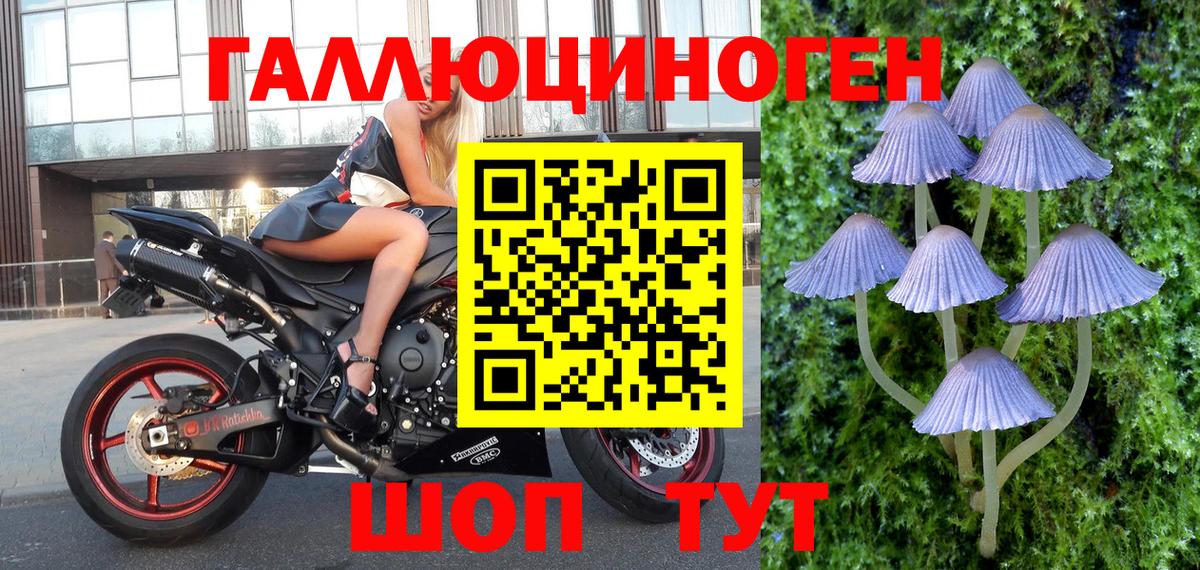 Псилоцибиновые грибы мицелий Балахна