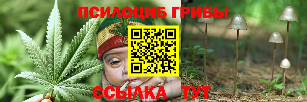 Псилоцибиновые грибы Magic Shrooms  Балахна 
