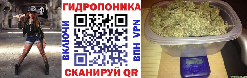 Бошки марихуана индика  hydra tor  Балахна 